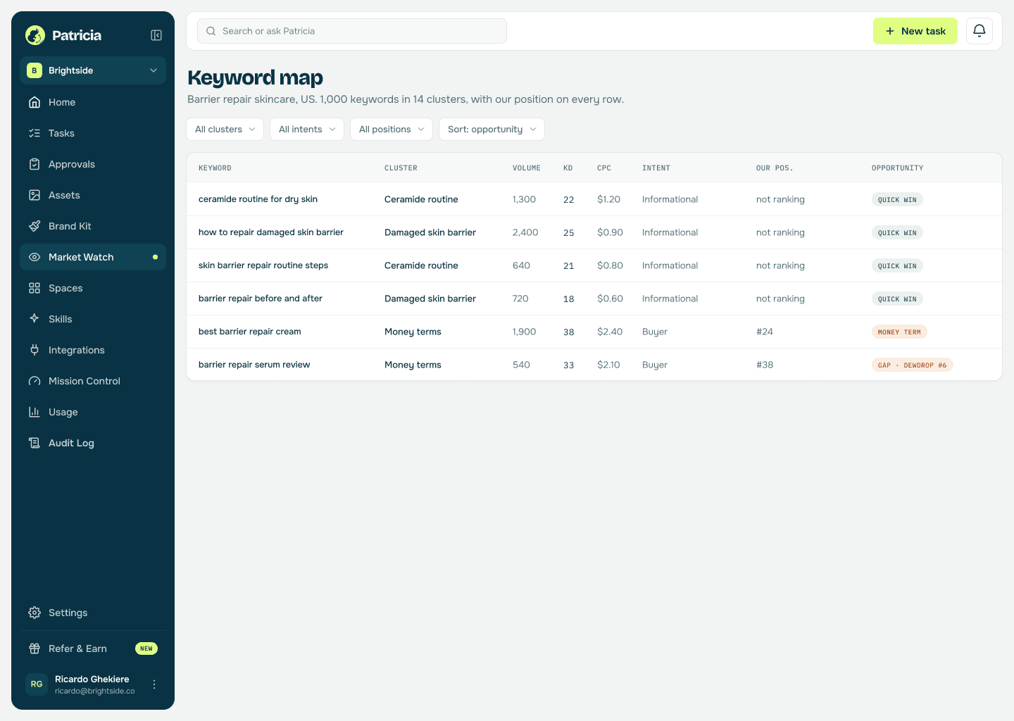 A clustered keyword map in Patricia: keywords grouped by topic with search volume, difficulty, cost per click, intent, current position and an opportunity score per row